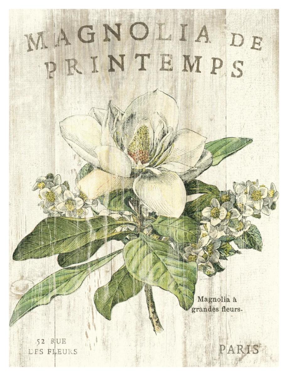Magnolia de Printemps -Paper Art-32"x42"