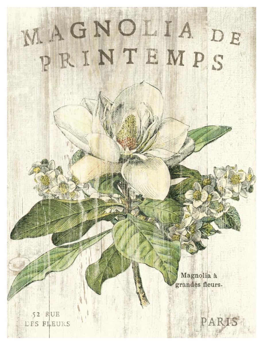 Magnolia de Printemps -Paper Art-38"x50"