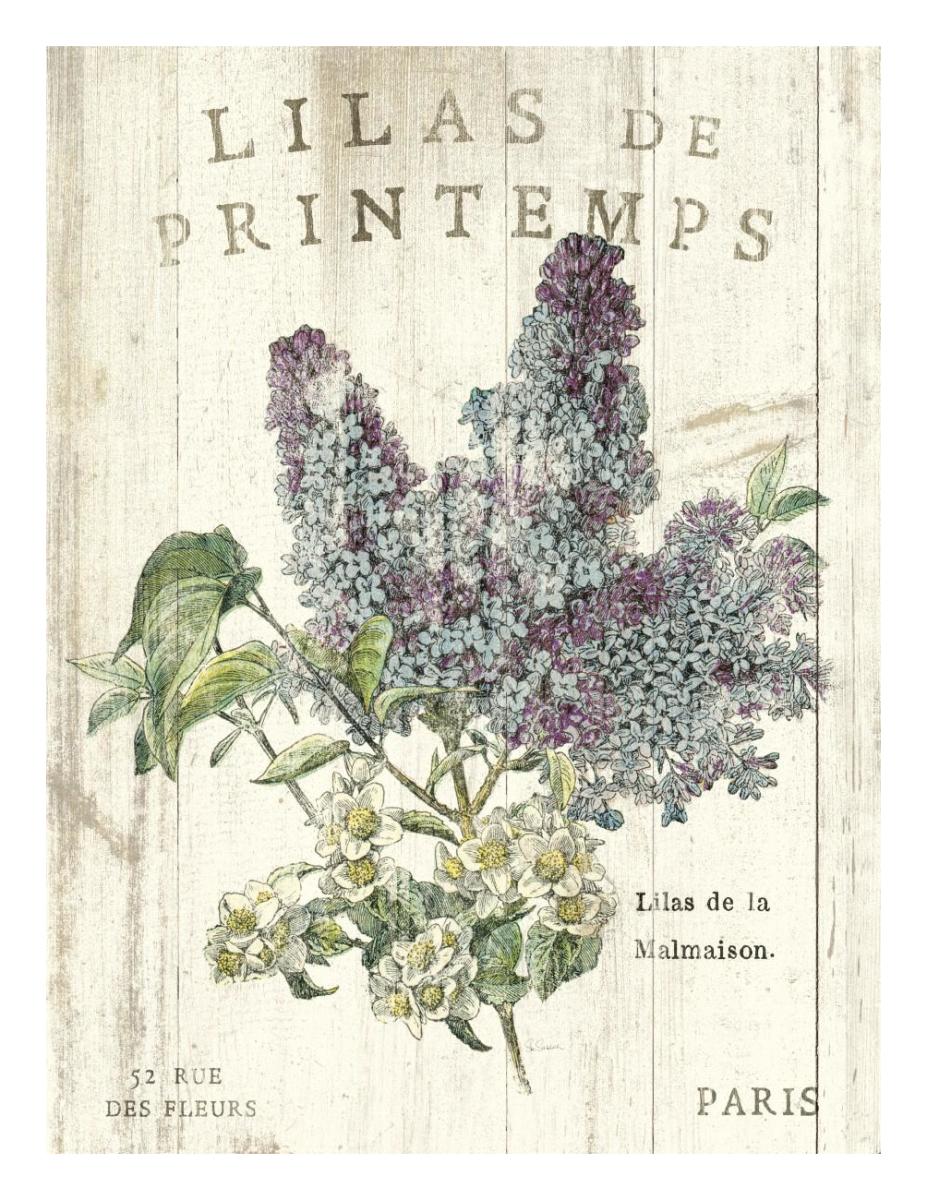 Lilas de Printemps -Paper Art-20"x26"