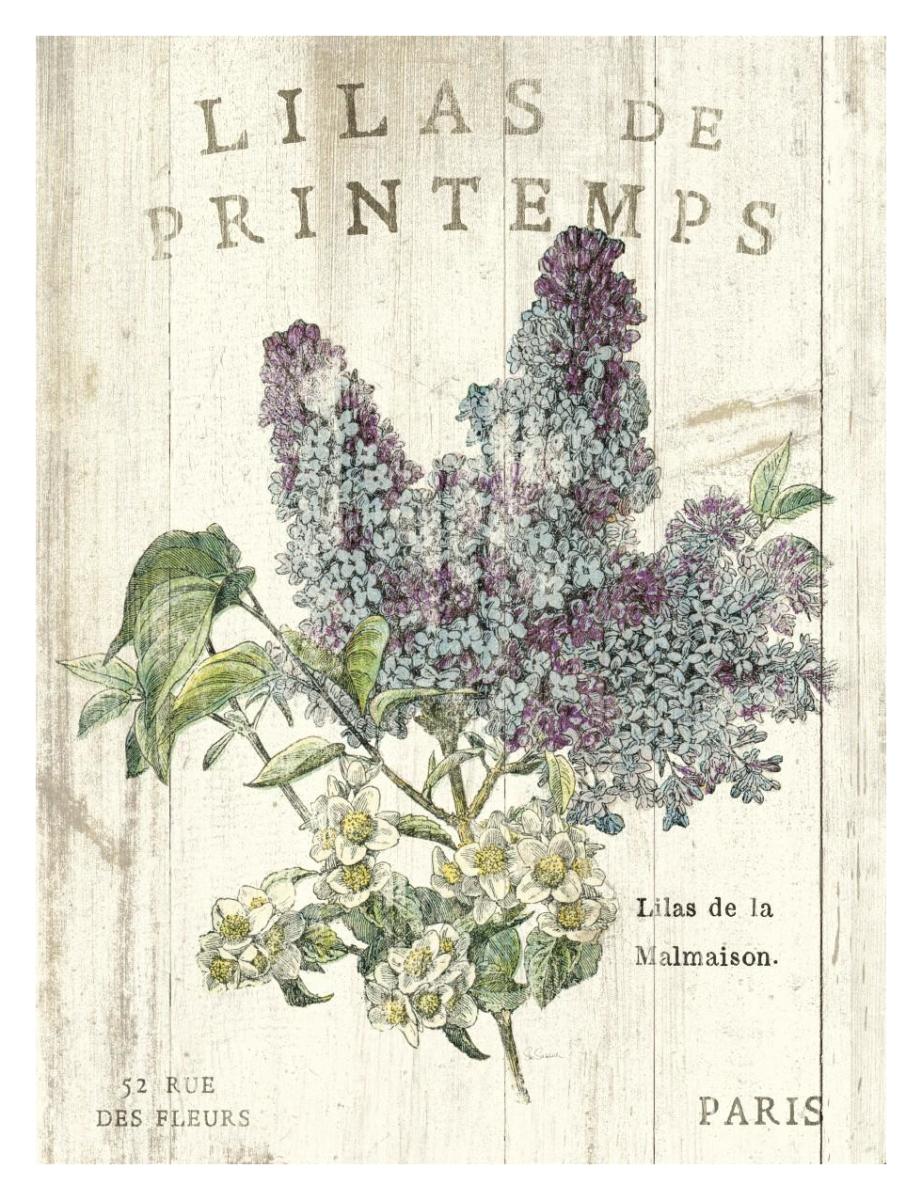 Lilas de Printemps -Paper Art-26"x34"