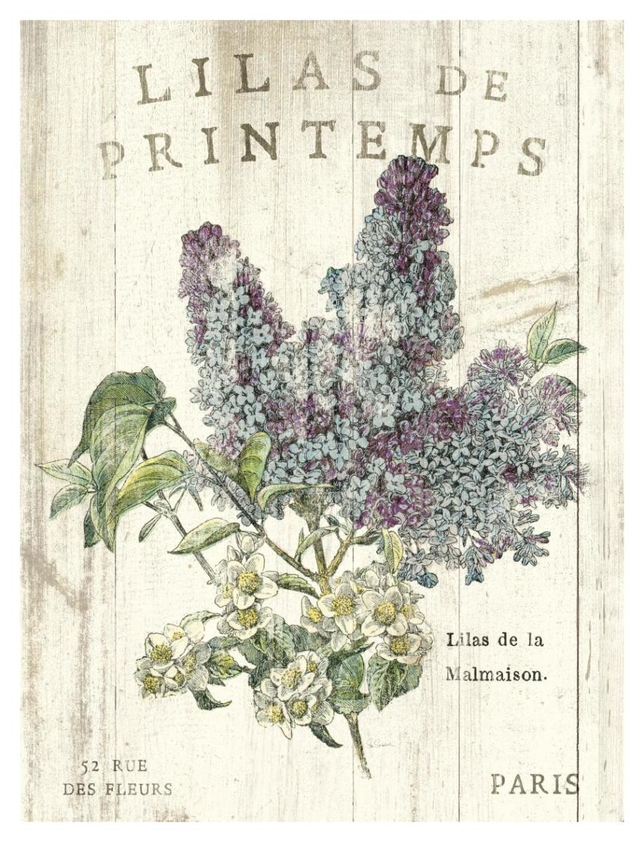 Lilas de Printemps -Paper Art-32"x42"