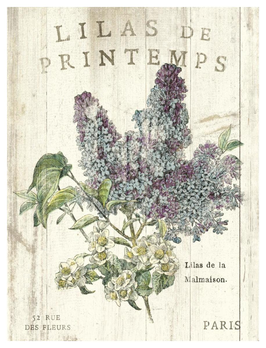 Lilas de Printemps -Paper Art-38"x50"