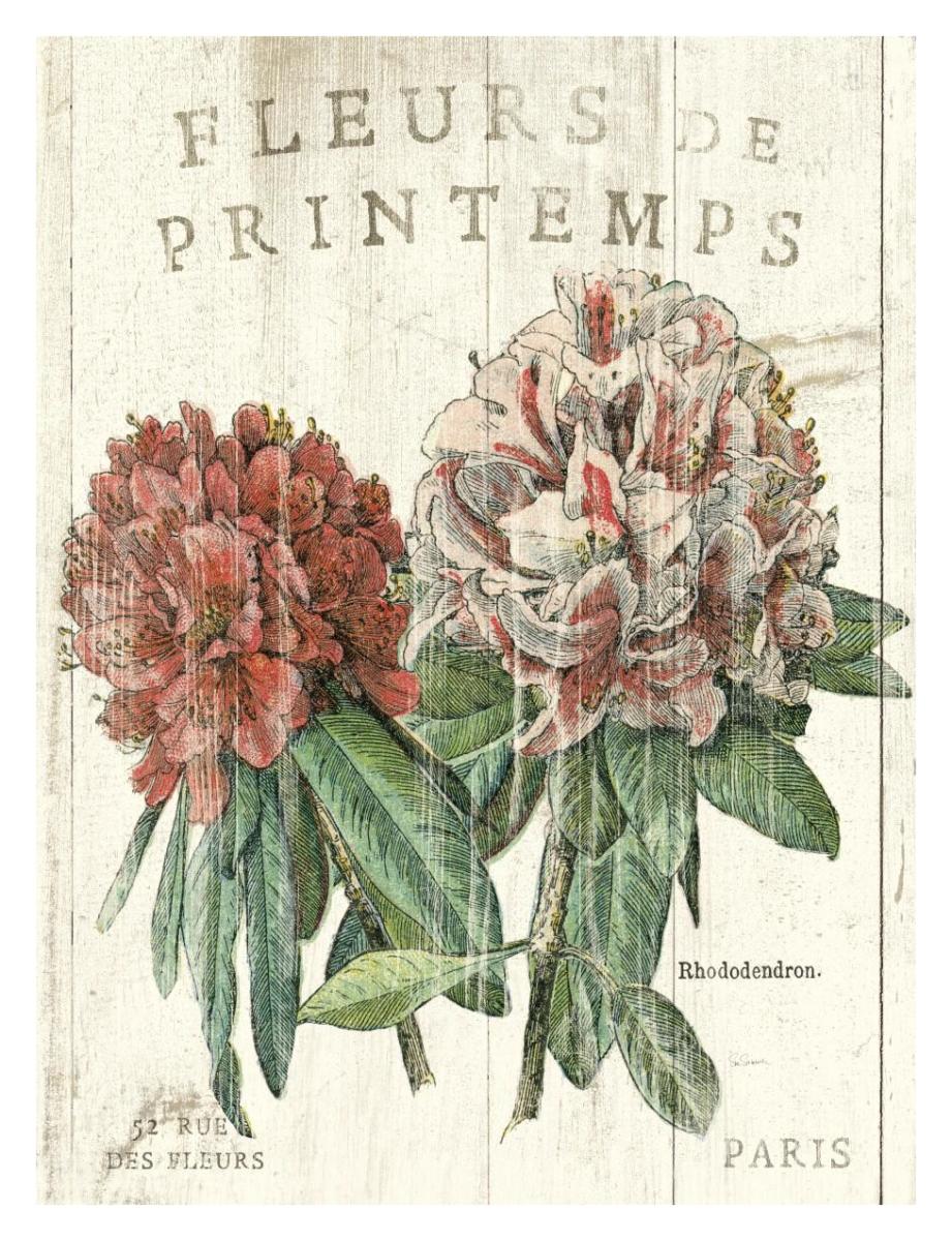 Fleur de Printemps -Paper Art-14"x18"