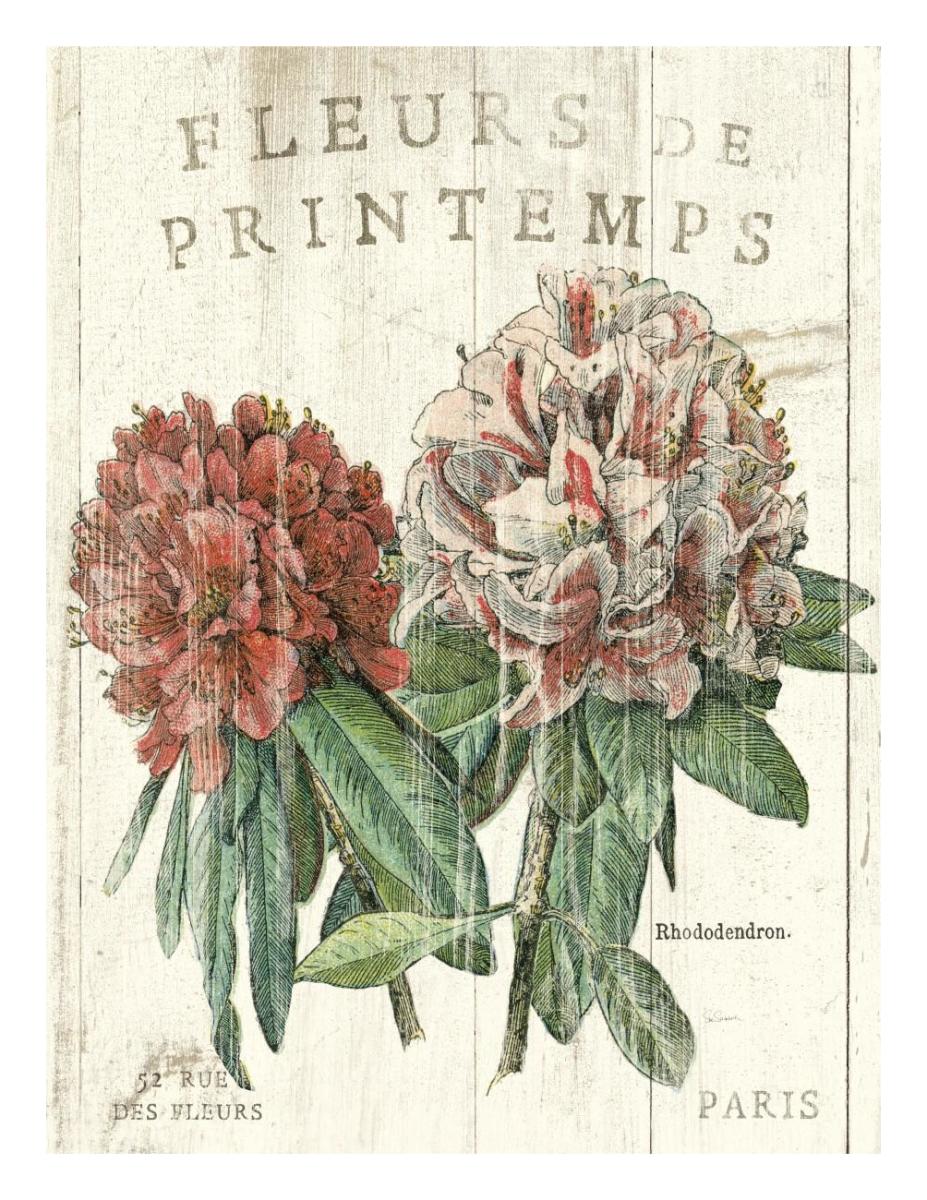 Fleur de Printemps -Paper Art-20"x26"