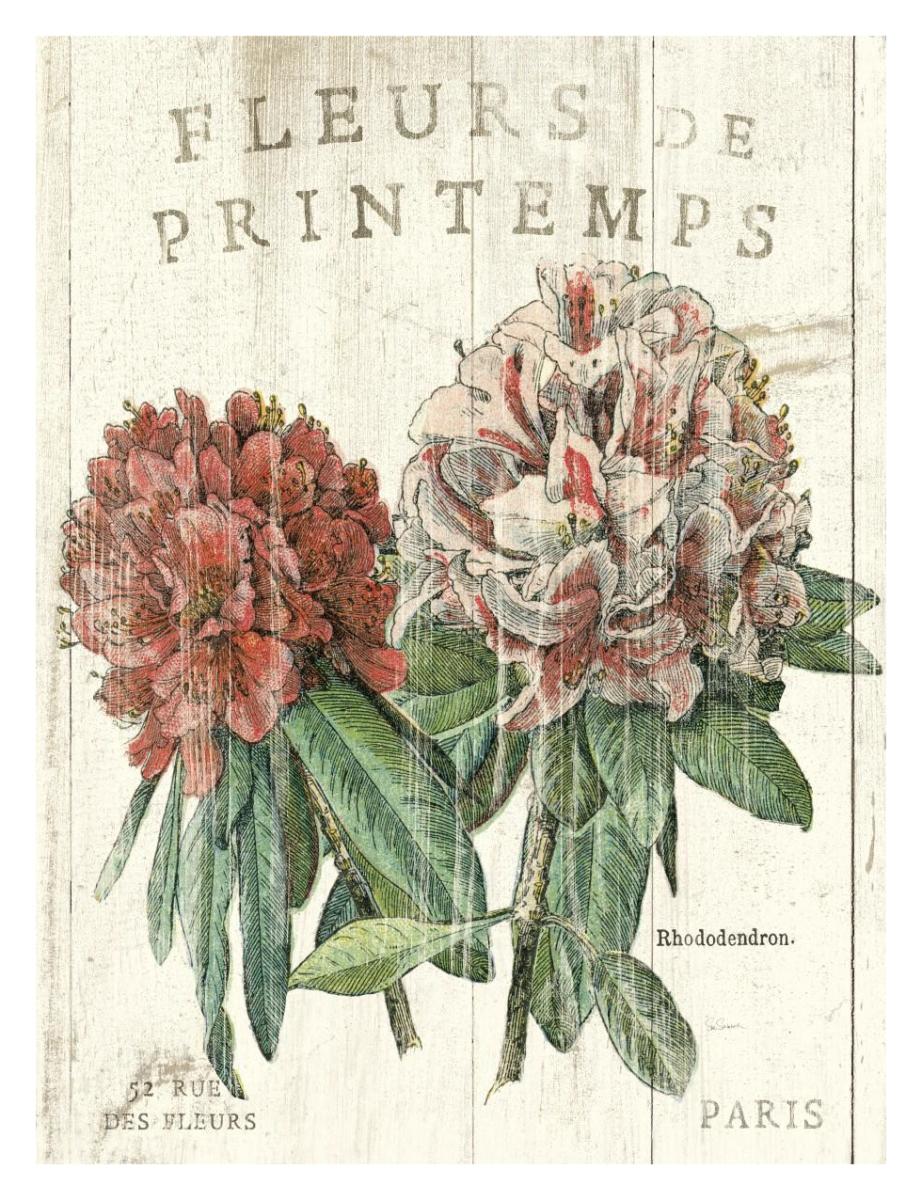 Fleur de Printemps -Paper Art-26"x34"