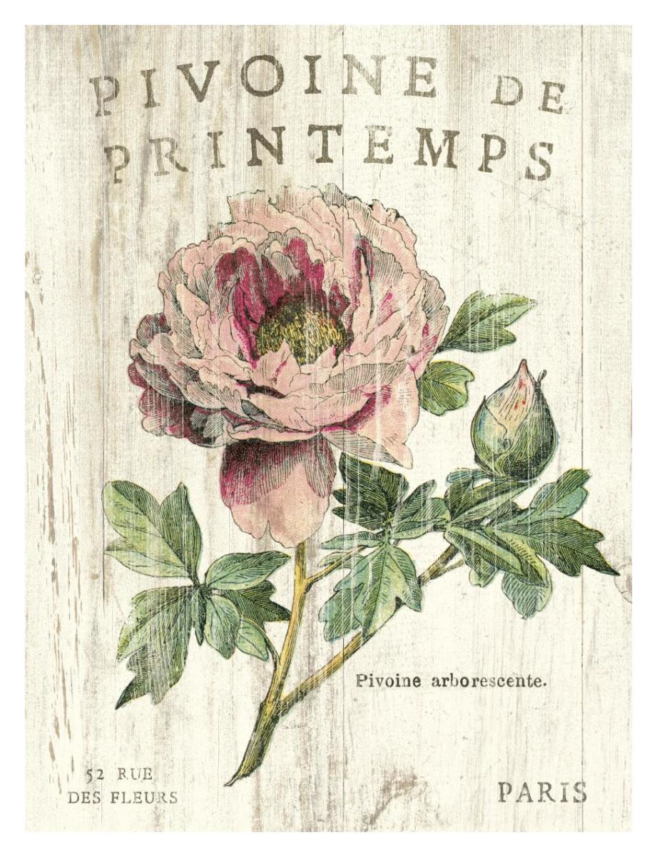 Pivoine de Printemps -Paper Art-14"x18"