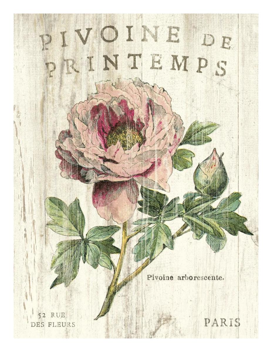 Pivoine de Printemps -Paper Art-20"x26"