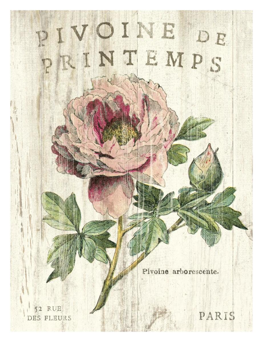 Pivoine de Printemps -Paper Art-26"x34"
