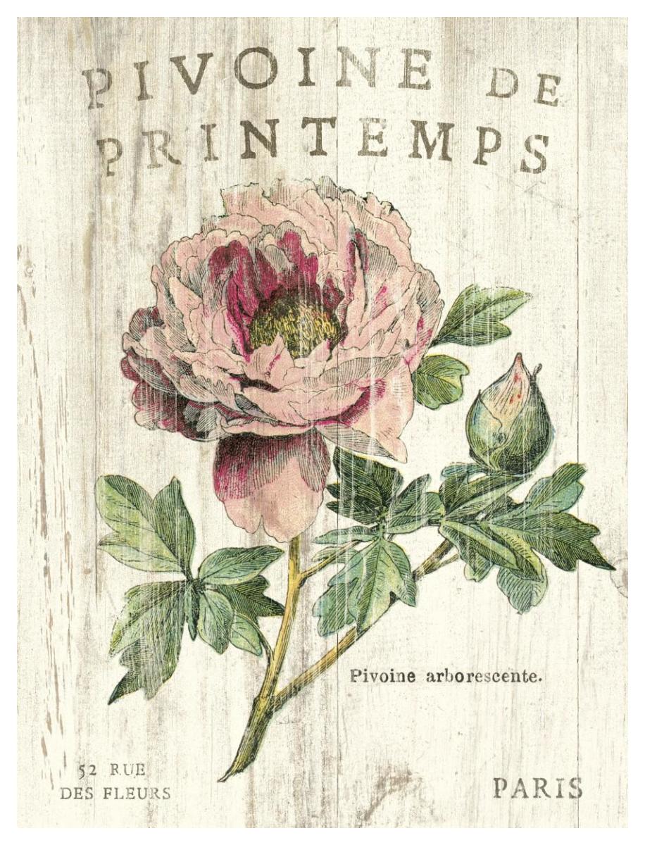 Pivoine de Printemps -Paper Art-38"x50"