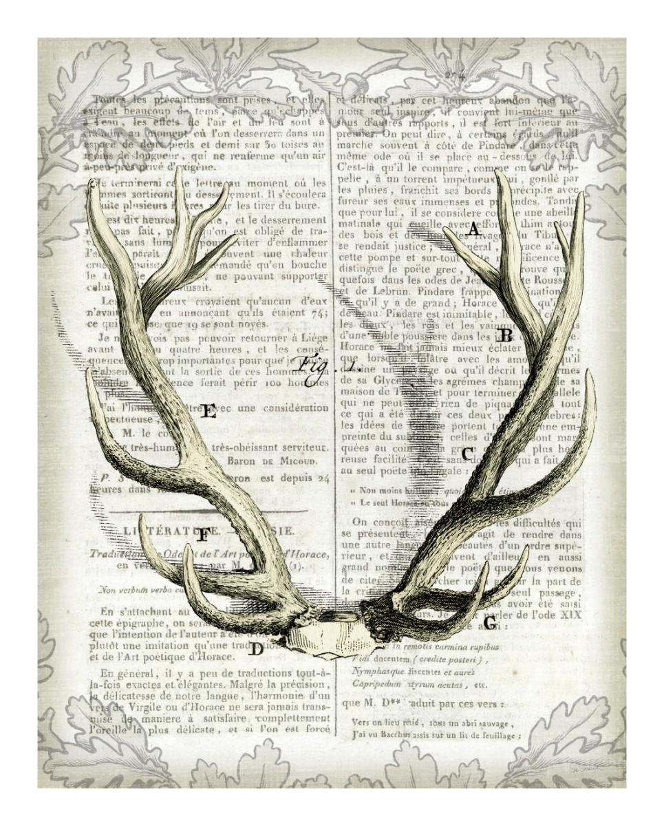 Regal Antlers on Newsprint I -Paper Art-18"x22"