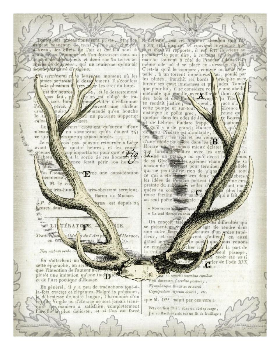 Regal Antlers on Newsprint I -Paper Art-22"x26"