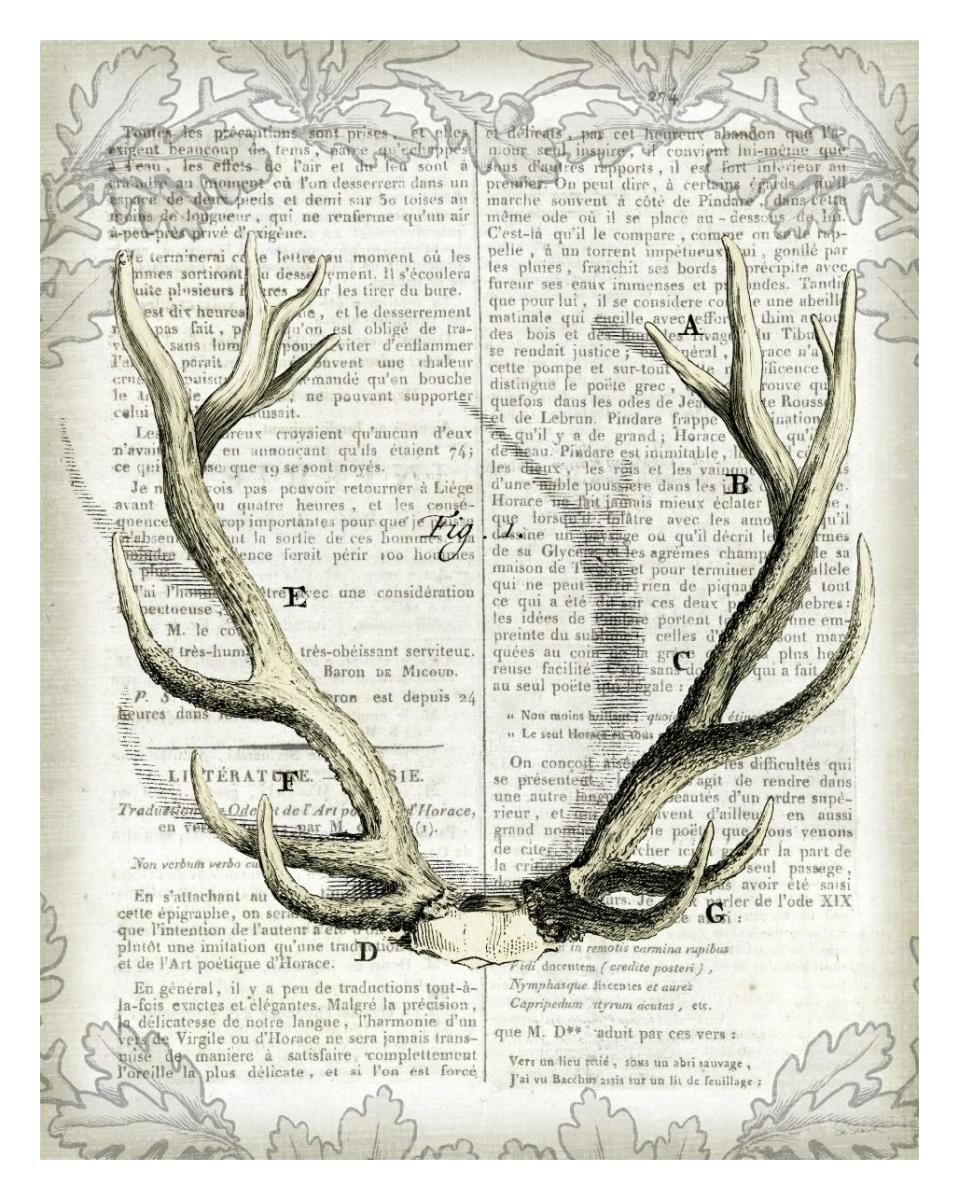 Regal Antlers on Newsprint I -Paper Art-24"x30"