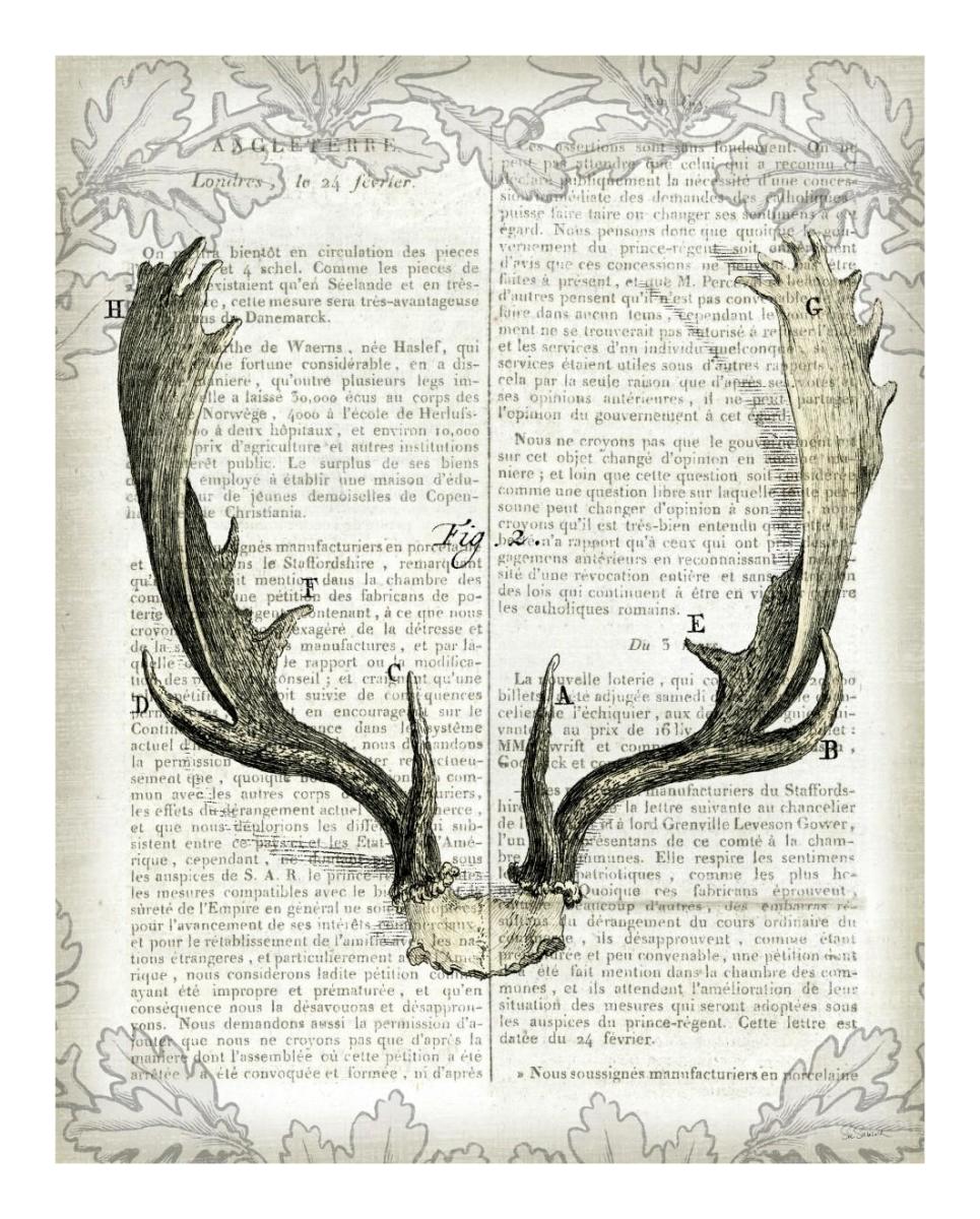 Regal Antlers on Newsprint II -Paper Art-18"x22"