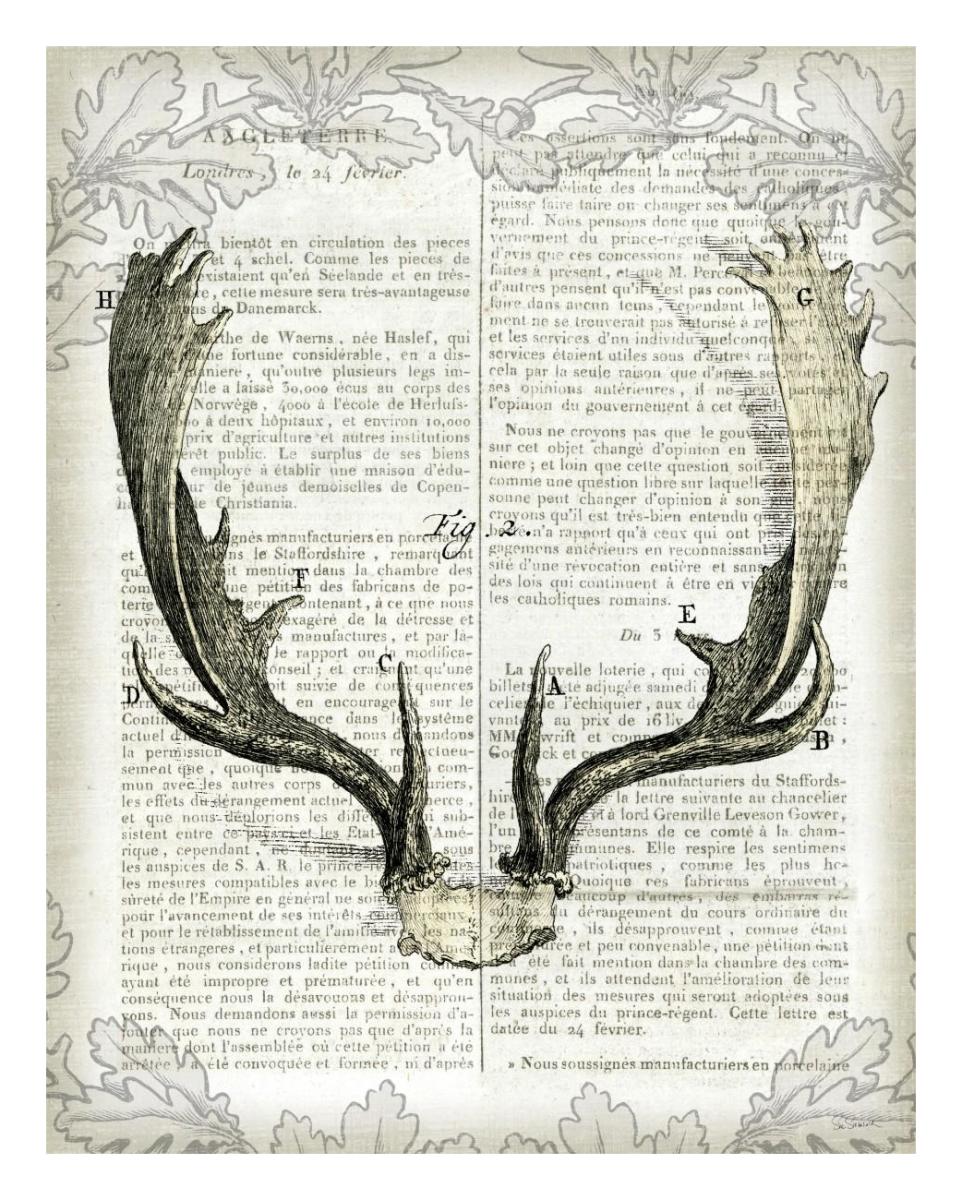 Regal Antlers on Newsprint II -Paper Art-22"x26"