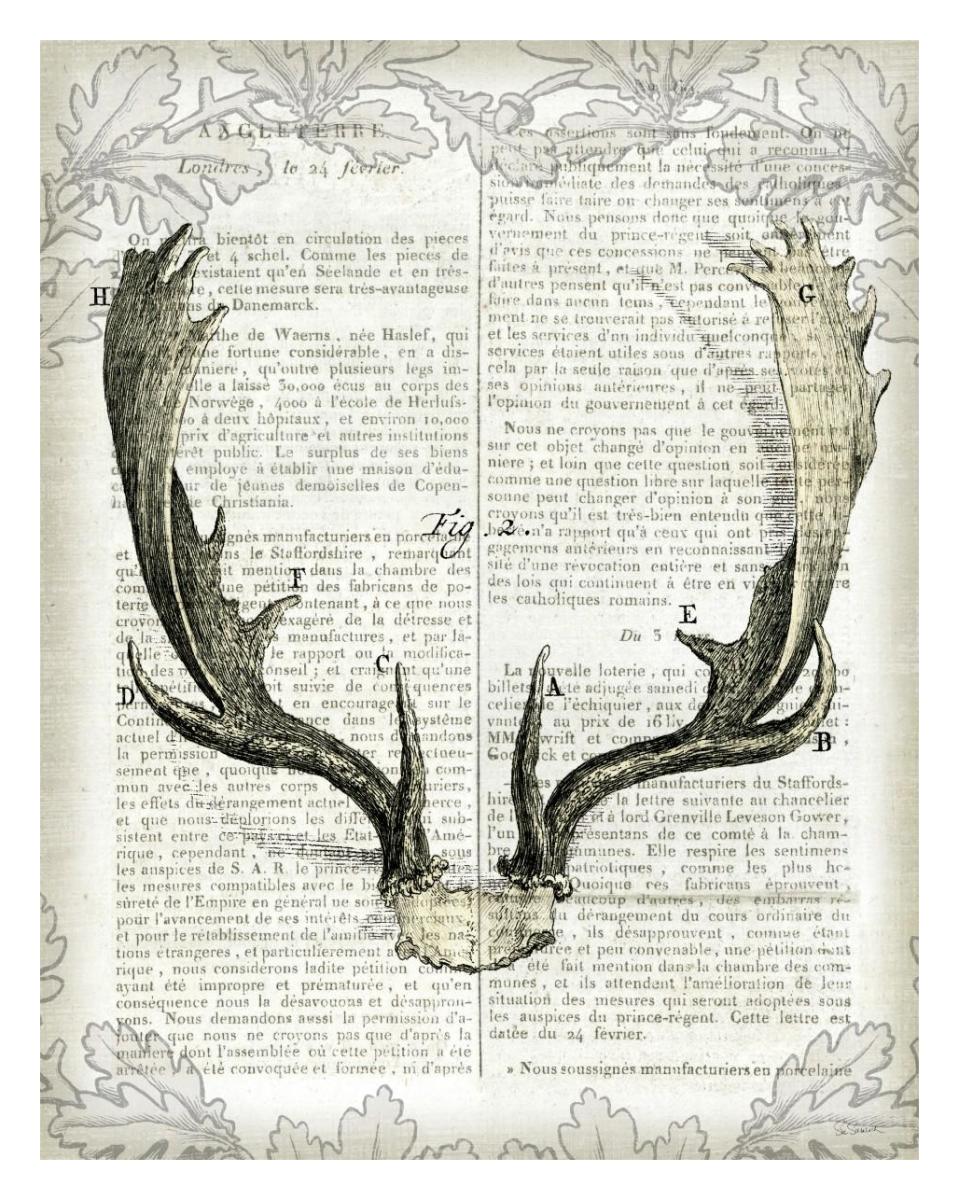 Regal Antlers on Newsprint II -Paper Art-24"x30"