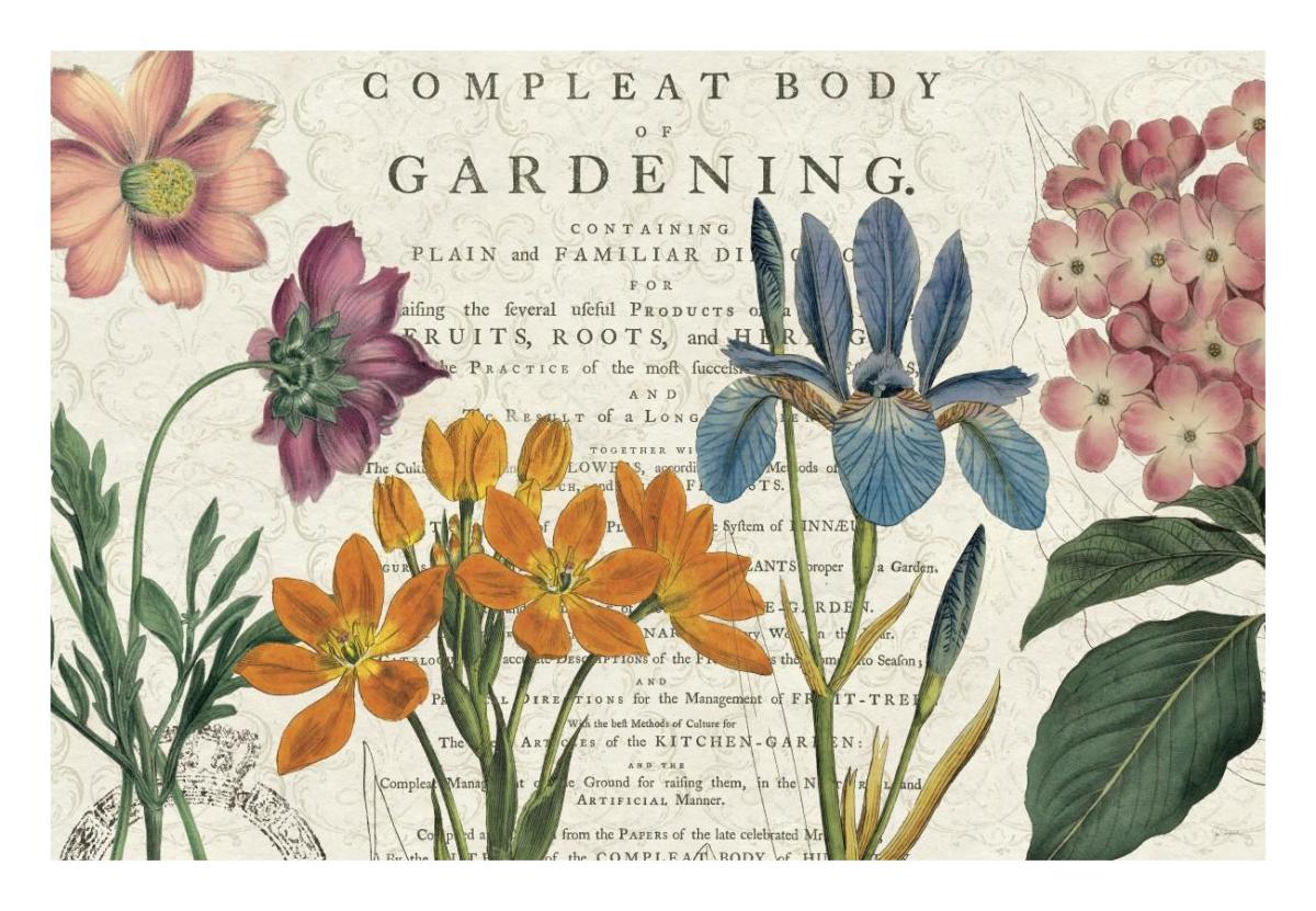 Botany -Paper Art-26"x18"