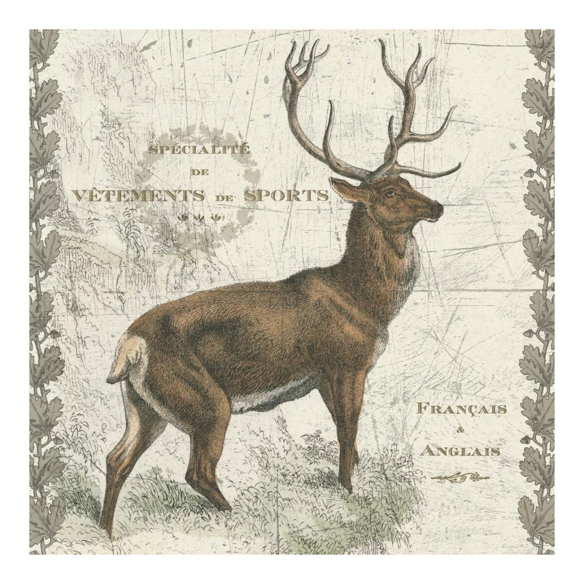 Regal Elk Sq -Paper Art-20"x20"