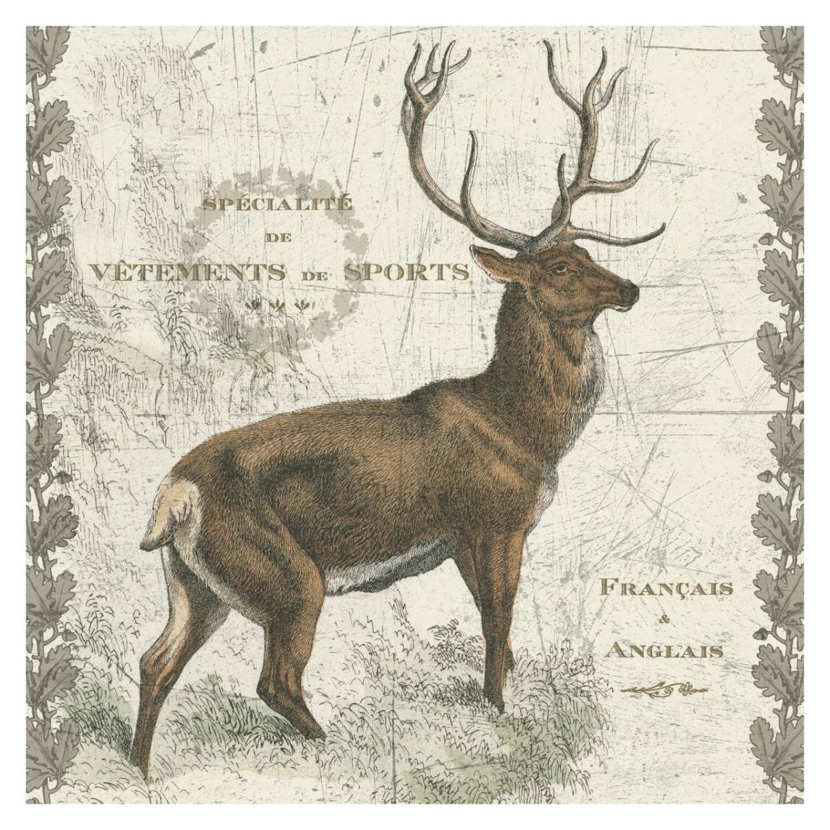 Regal Elk Sq -Paper Art-32"x32"