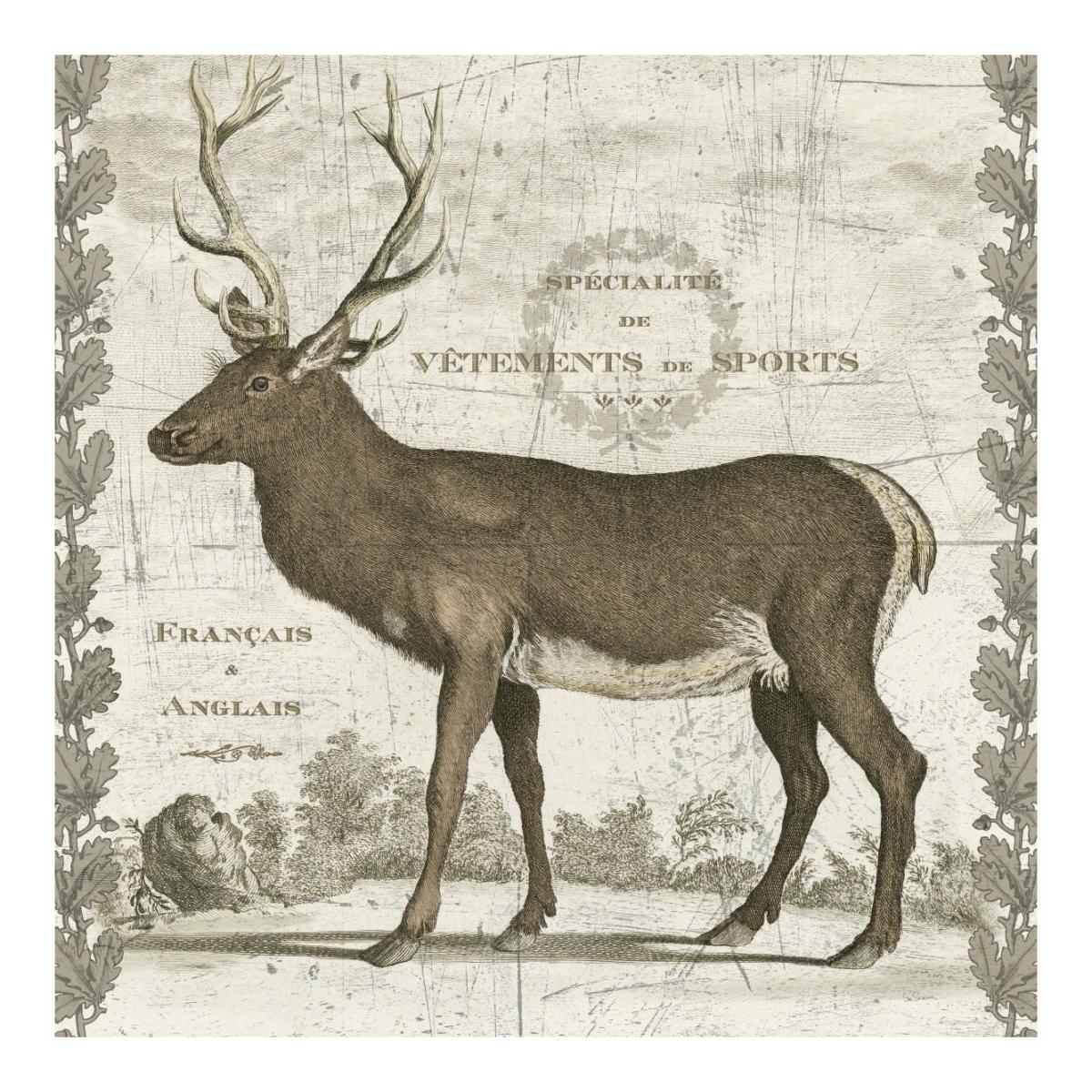 Regal Stag Sq -Paper Art-20"x20"