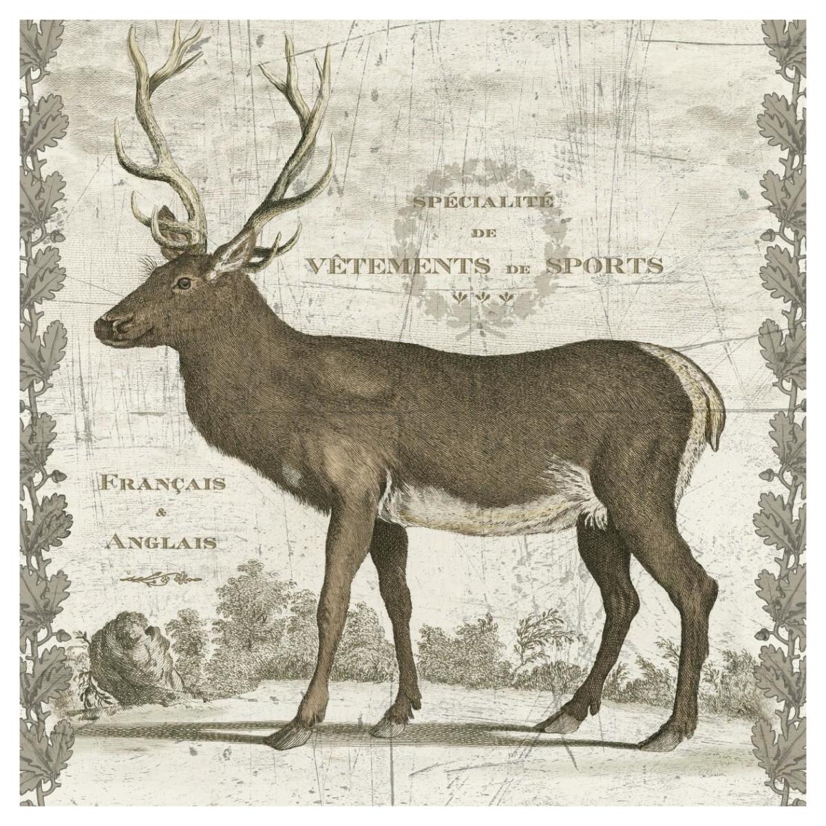 Regal Stag Sq -Paper Art-42"x42"