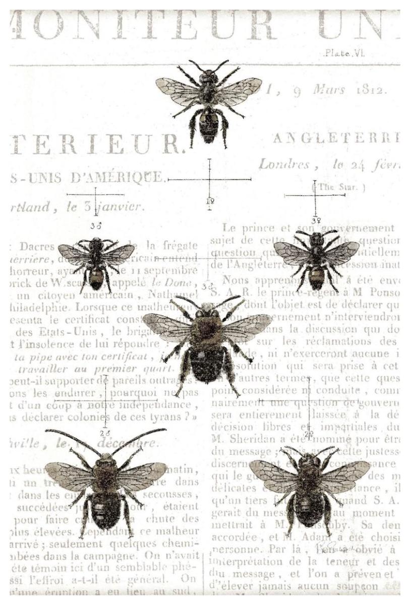 Bee Botanical Gray -Paper Art-42"x62"