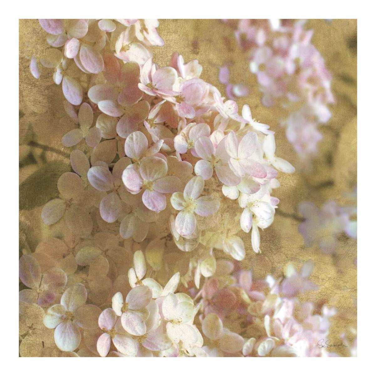 Gilded Hydrangea I -Paper Art-20"x20"