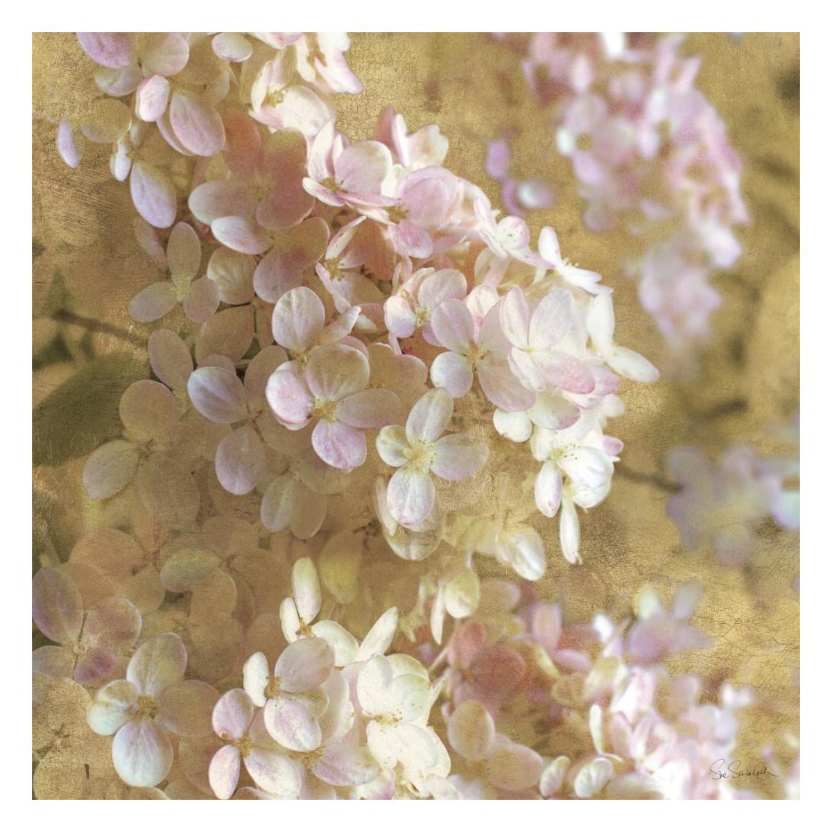Gilded Hydrangea I -Paper Art-26"x26"