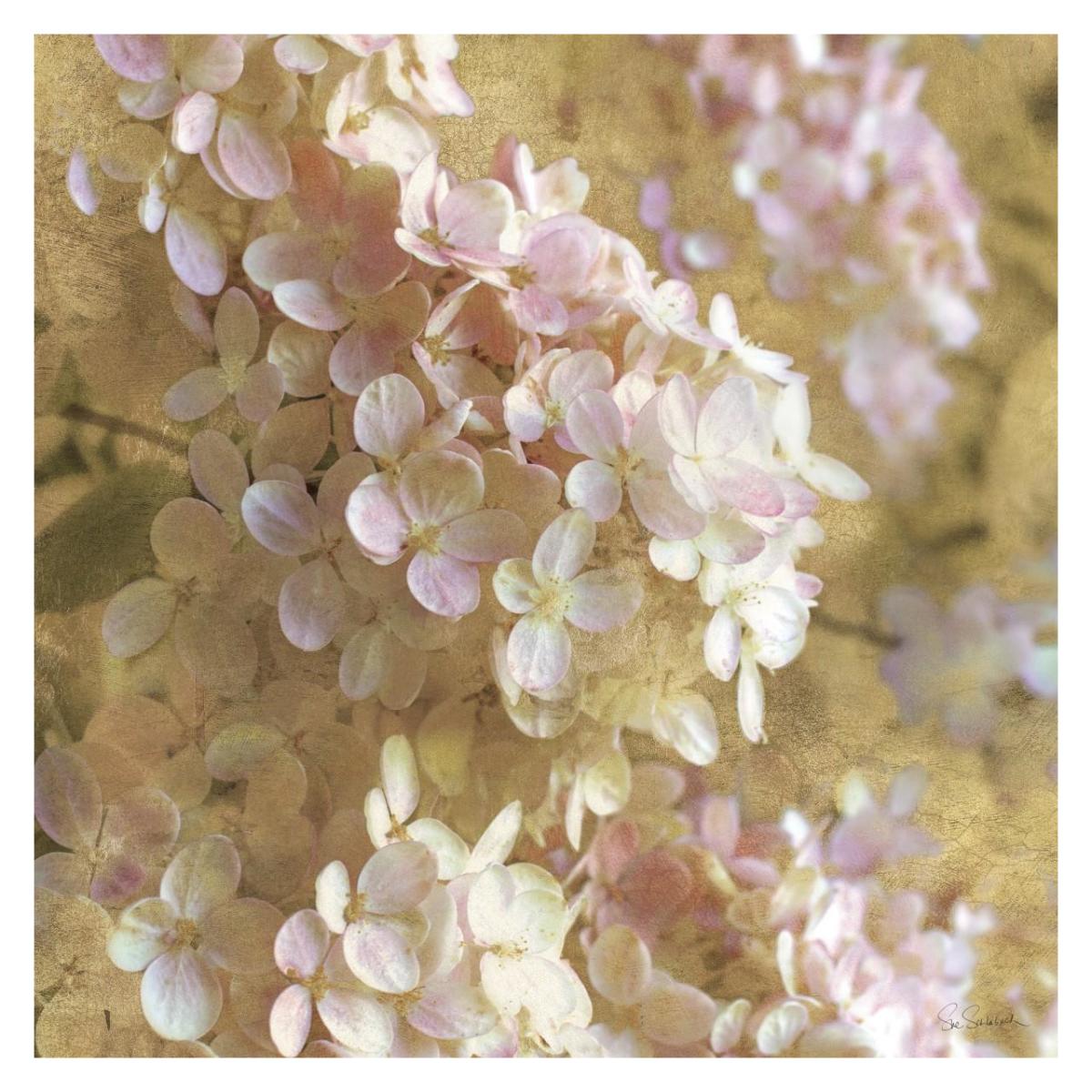Gilded Hydrangea I -Paper Art-32"x32"