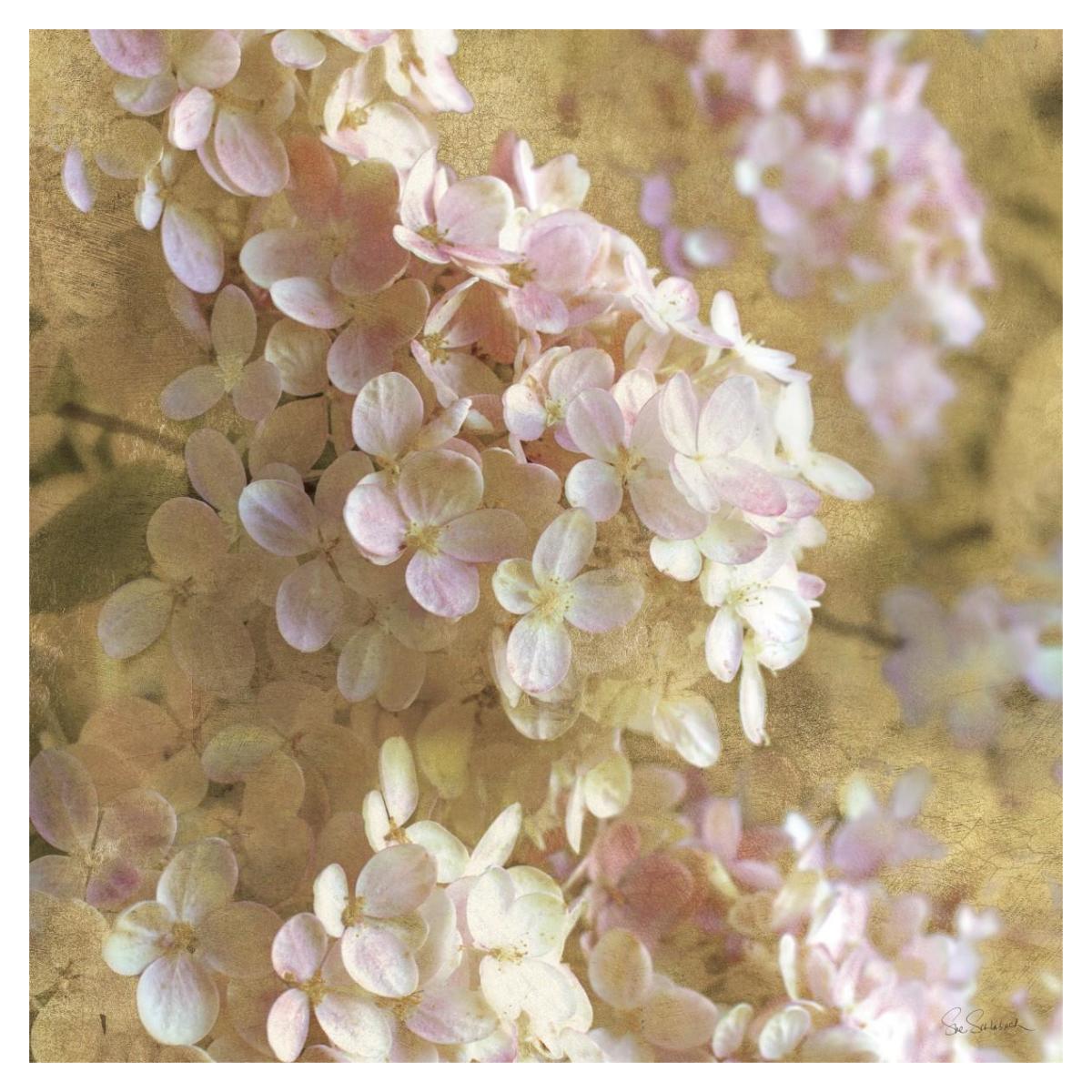 Gilded Hydrangea I -Paper Art-38"x38"