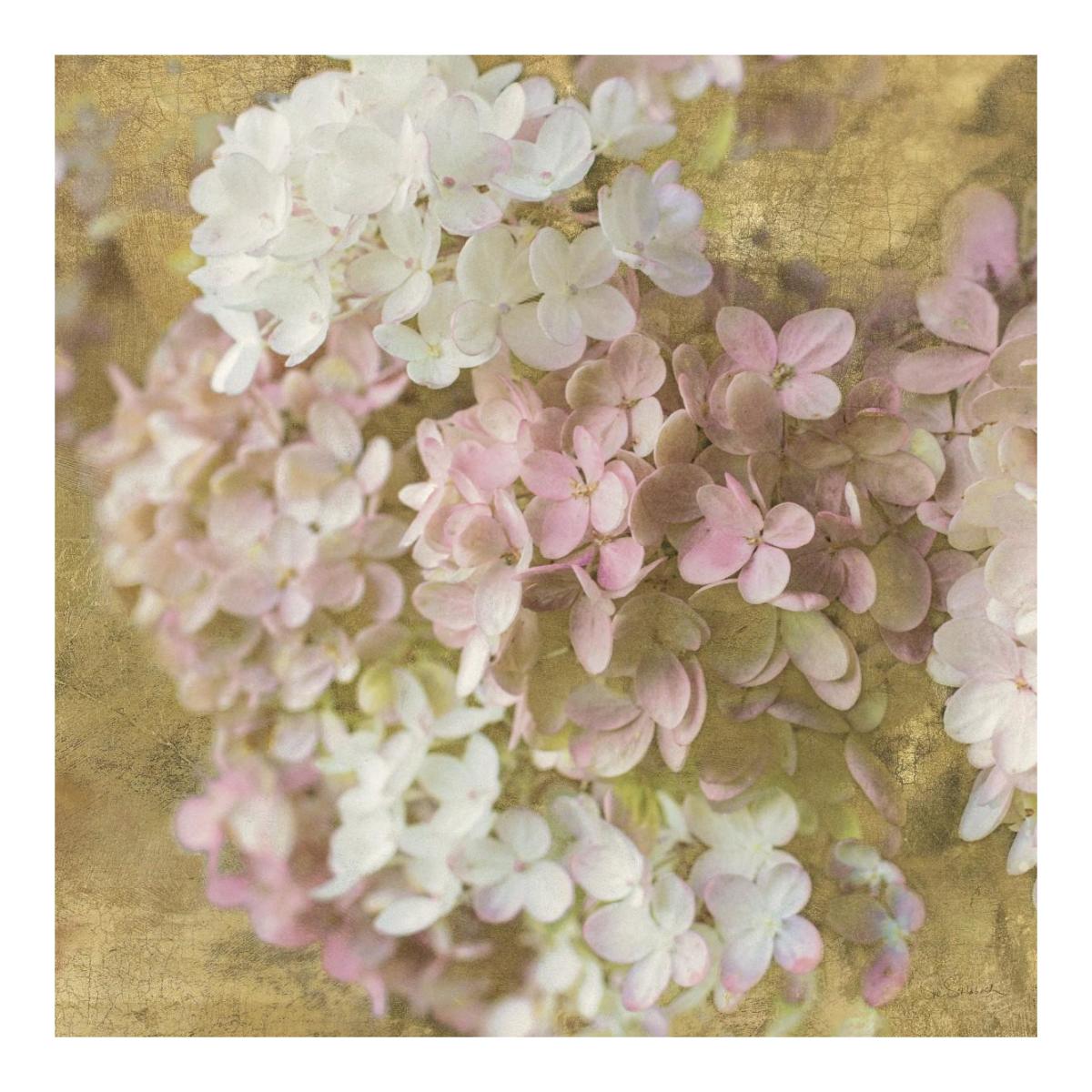 Gilded Hydrangea II -Paper Art-20"x20"