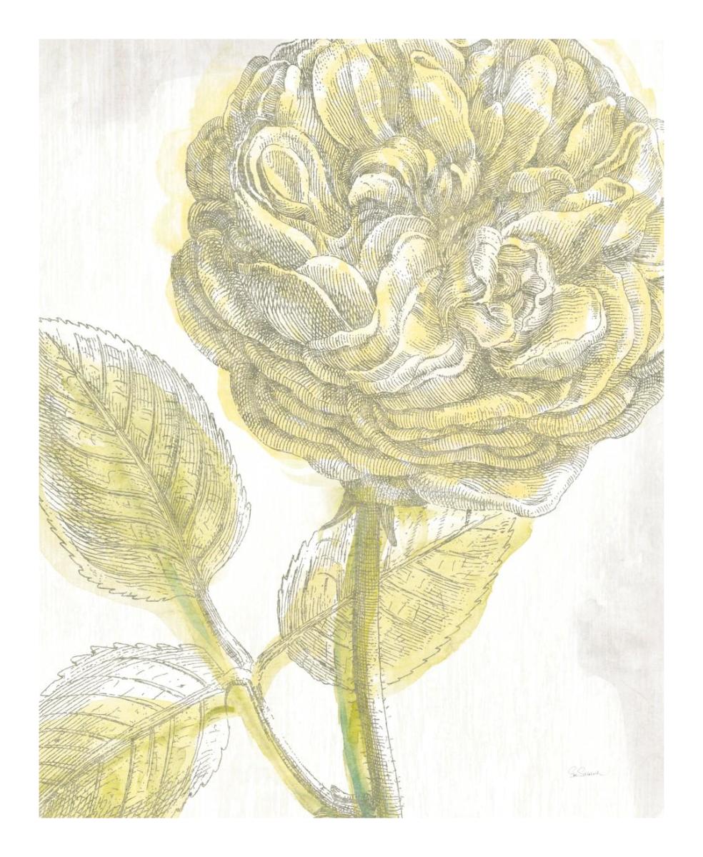 Belle Fleur Yellow III -Paper Art-18"x22"