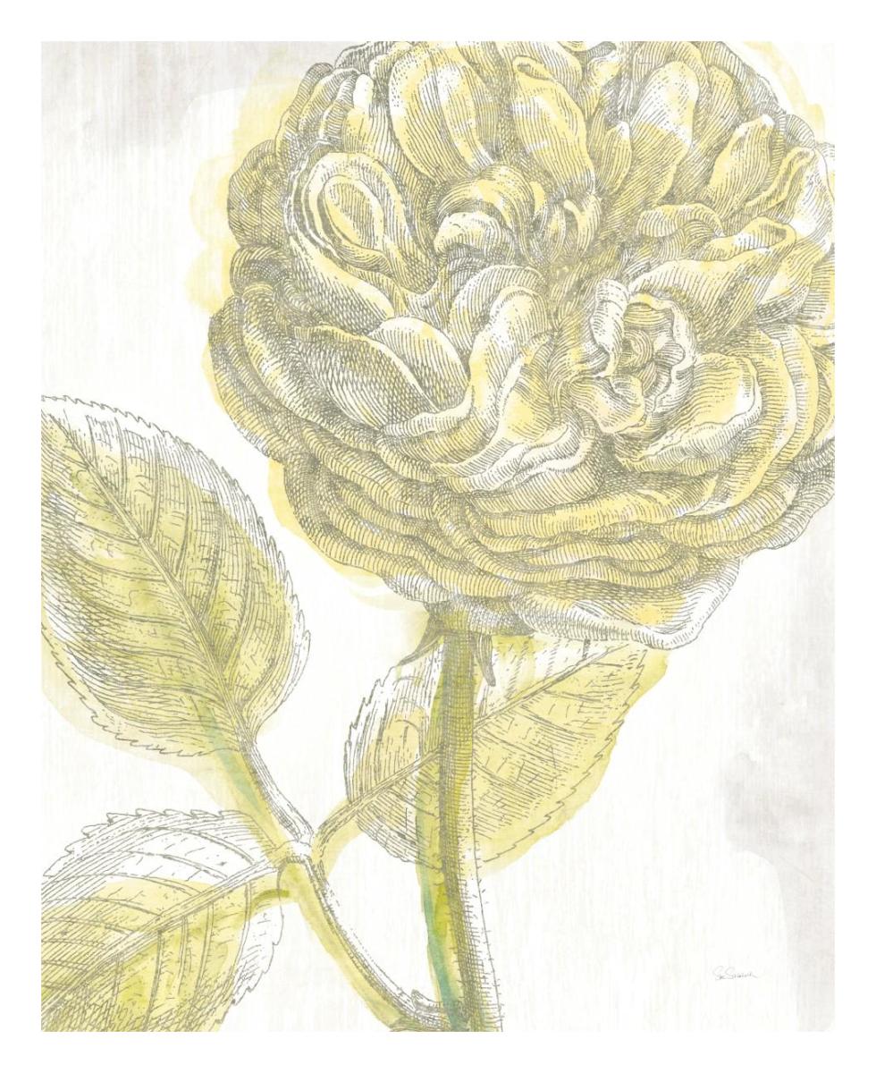 Belle Fleur Yellow III -Paper Art-22"x26"