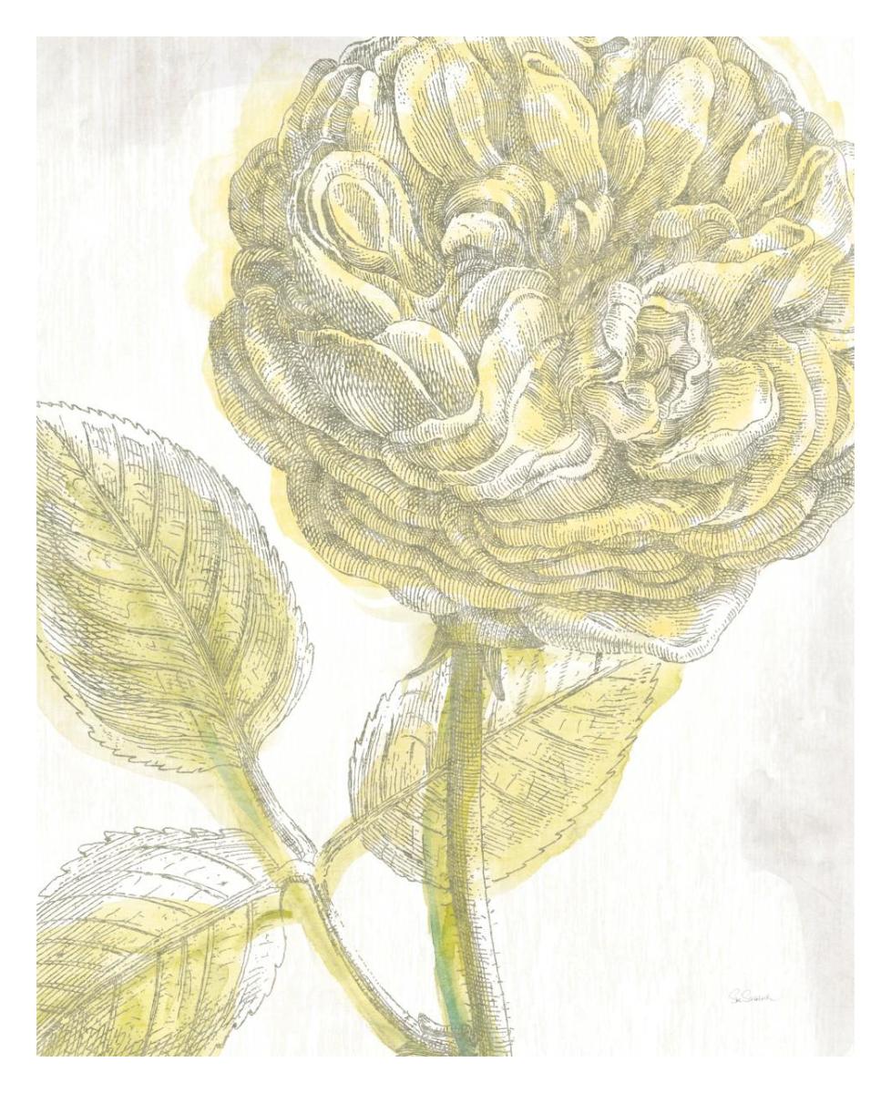 Belle Fleur Yellow III -Paper Art-24"x30"