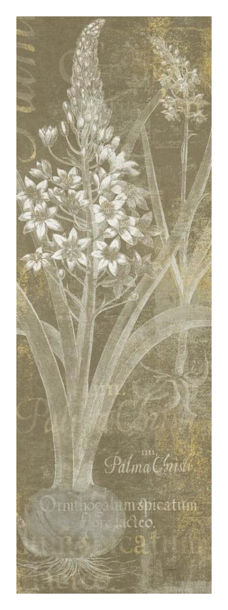 Flower Lines II -Paper Art-14"x38"
