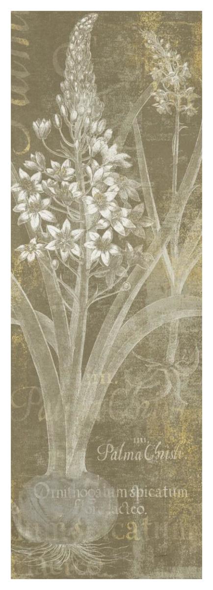 Flower Lines II -Paper Art-20"x56"
