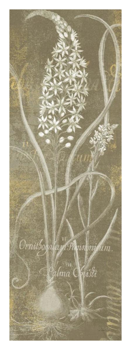 Flower Lines III -Paper Art-14"x38"