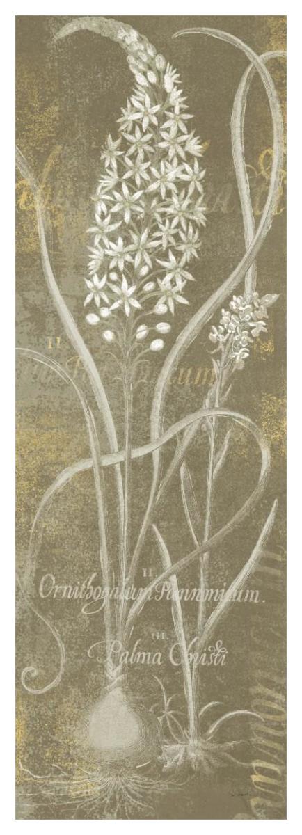 Flower Lines III -Paper Art-20"x56"