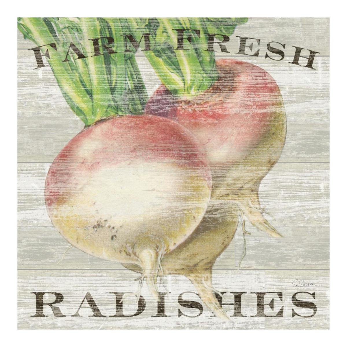 Farm Fresh Radishes -Paper Art-20"x20"
