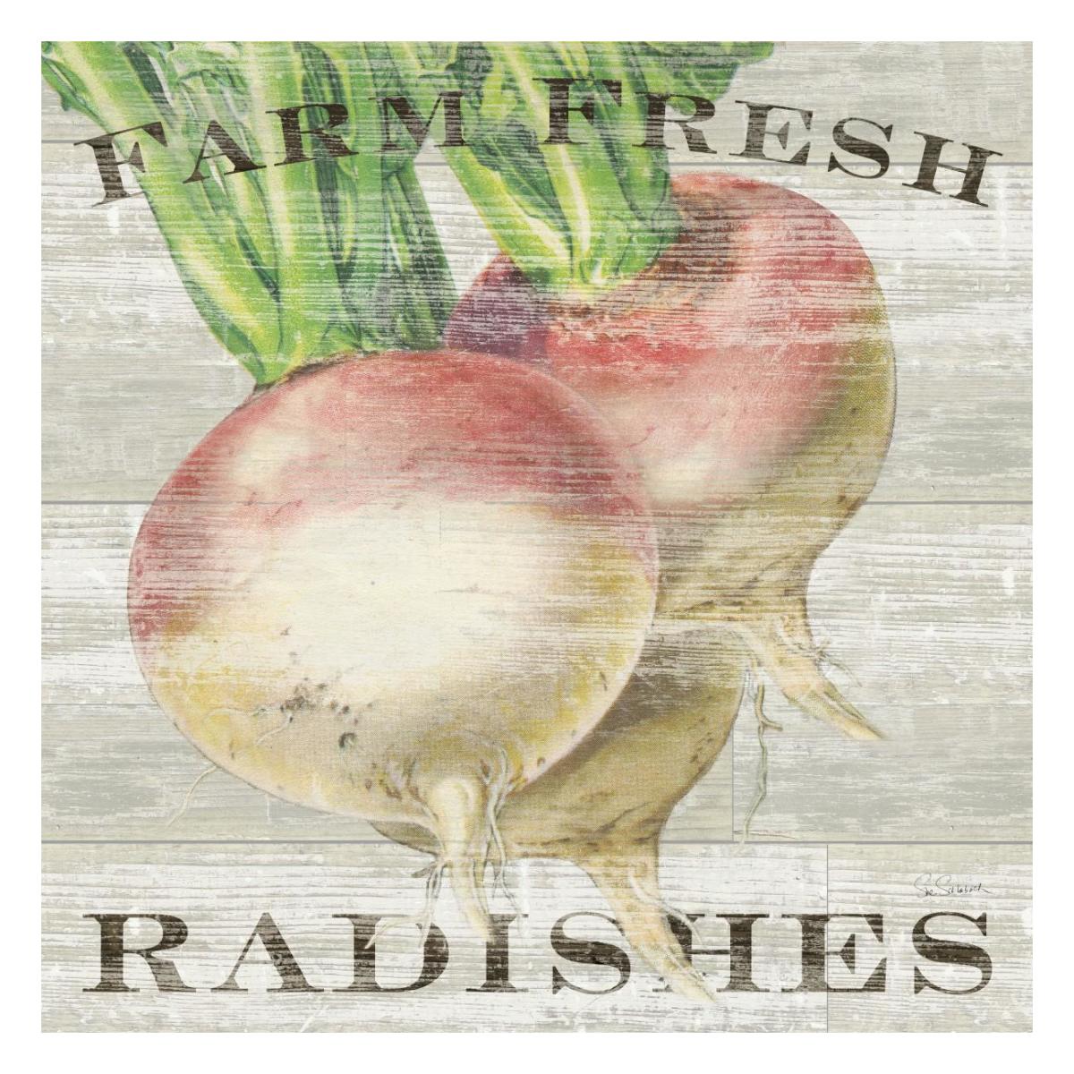 Farm Fresh Radishes -Paper Art-26"x26"