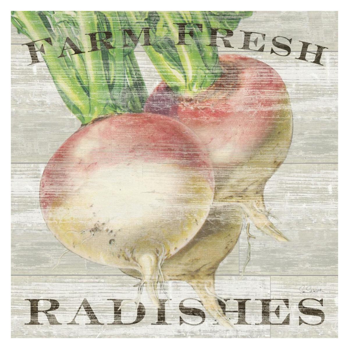 Farm Fresh Radishes -Paper Art-32"x32"