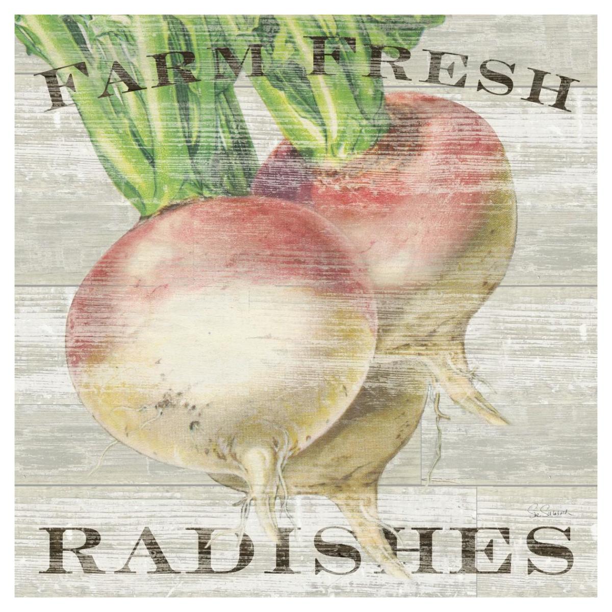 Farm Fresh Radishes -Paper Art-42"x42"