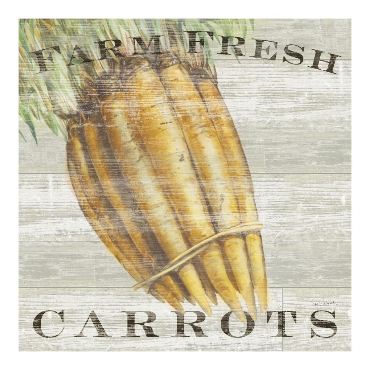 Farm Fresh Carrots -Paper Art-20"x20"