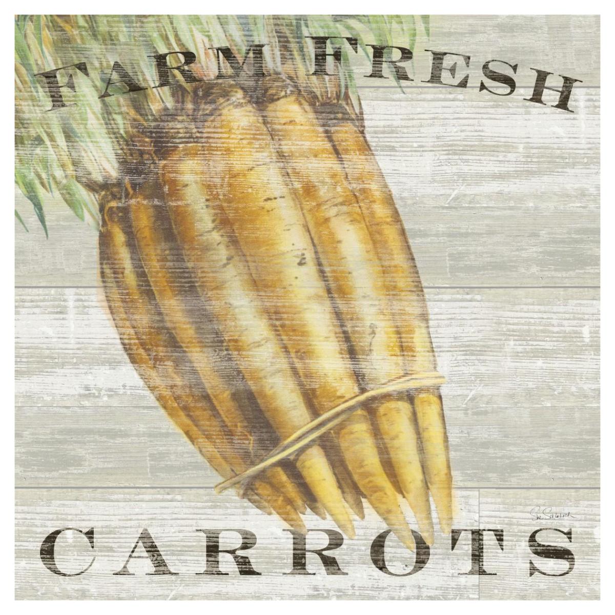 Farm Fresh Carrots -Paper Art-42"x42"