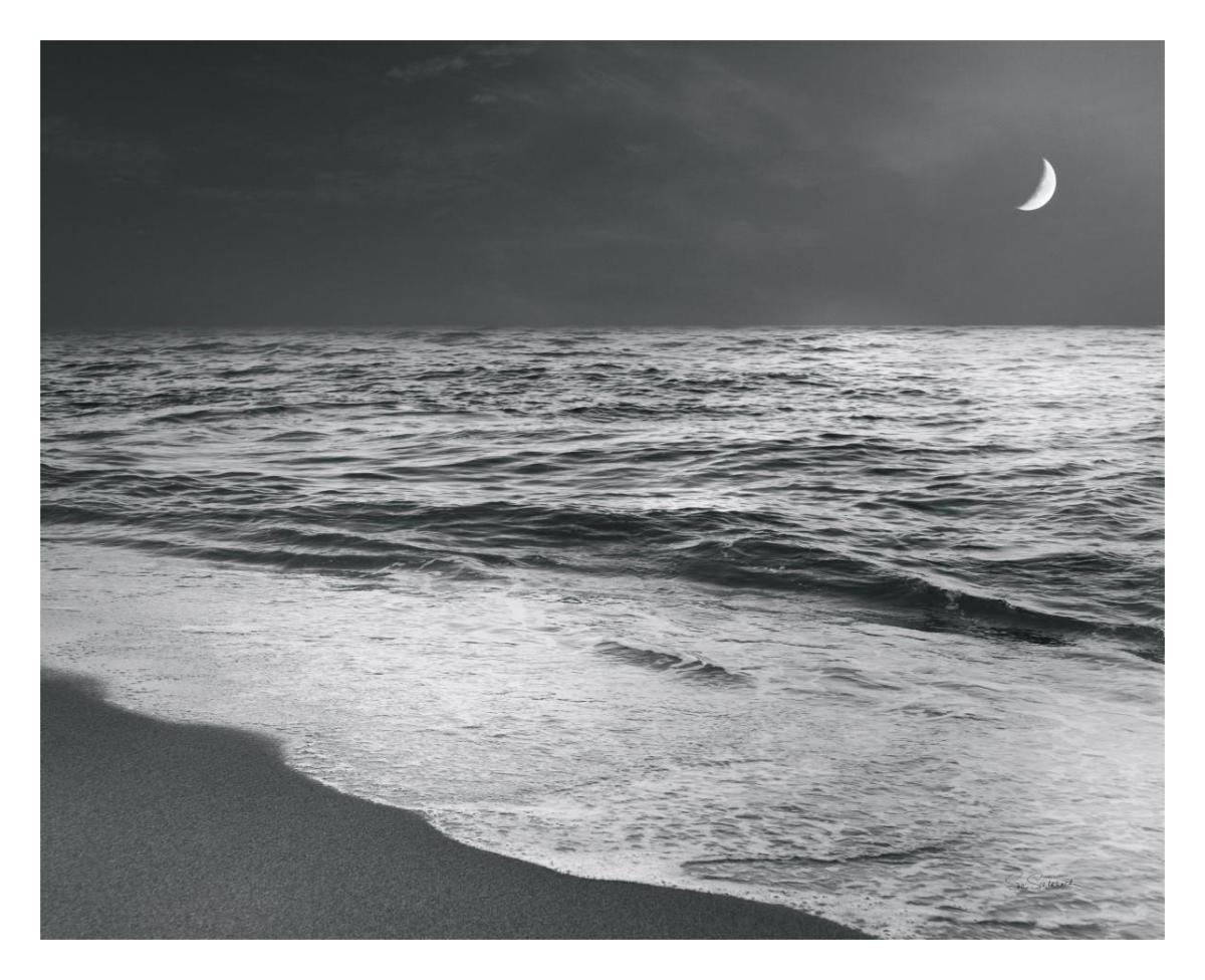 Moonrise Beach Black and White -Paper Art-30"x24"
