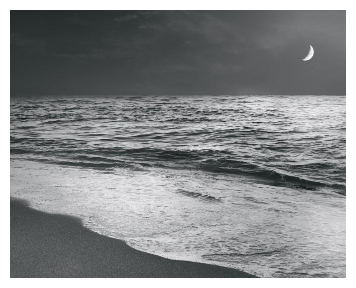 Moonrise Beach Black and White -Paper Art-37"x30"