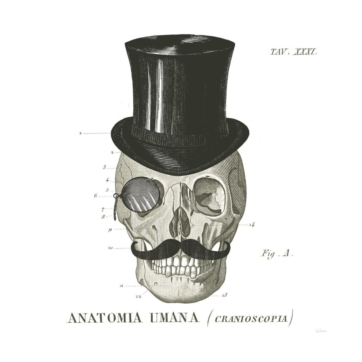 Dandy Bones I -Paper Art-26"x26"