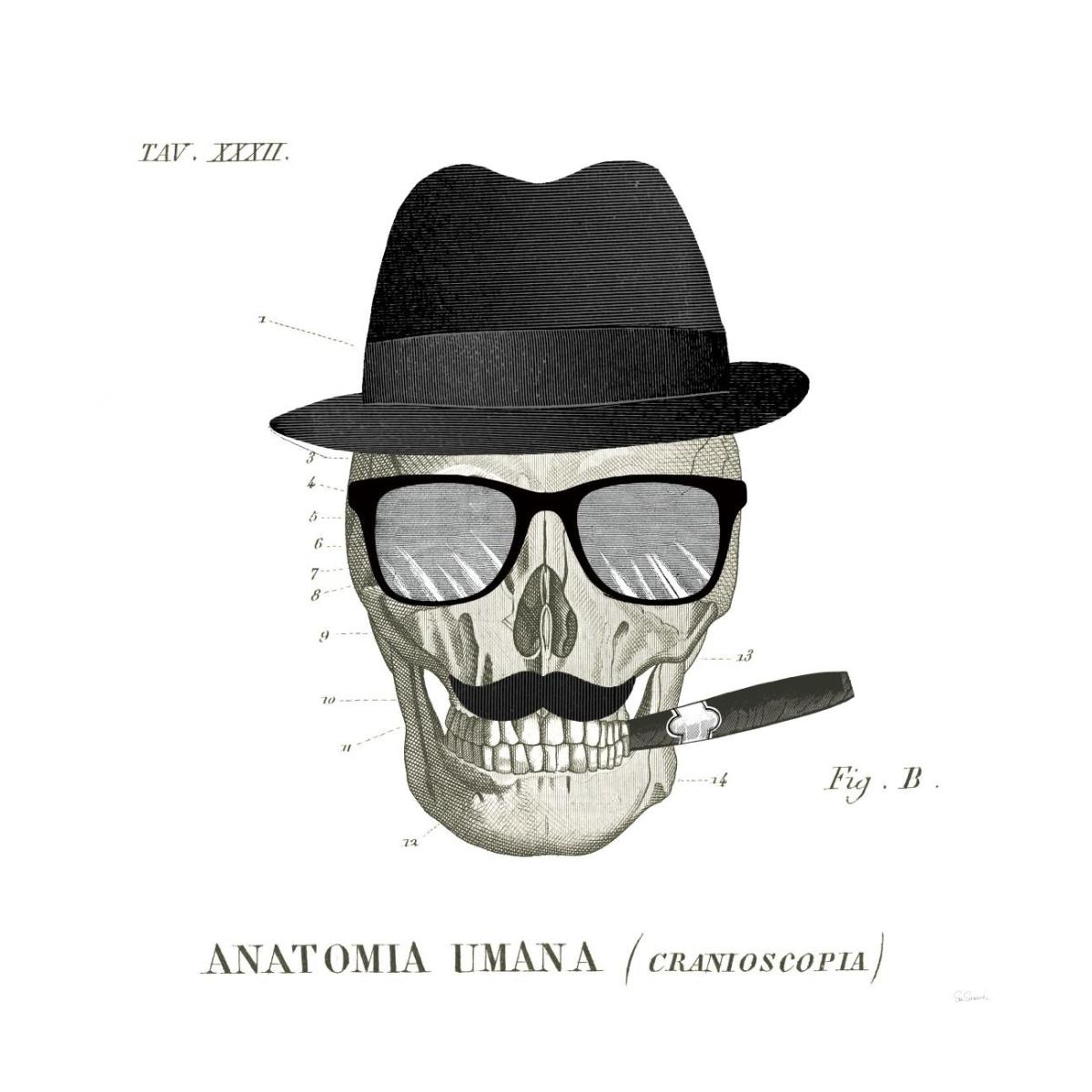 Dandy Bones V -Paper Art-26"x26"