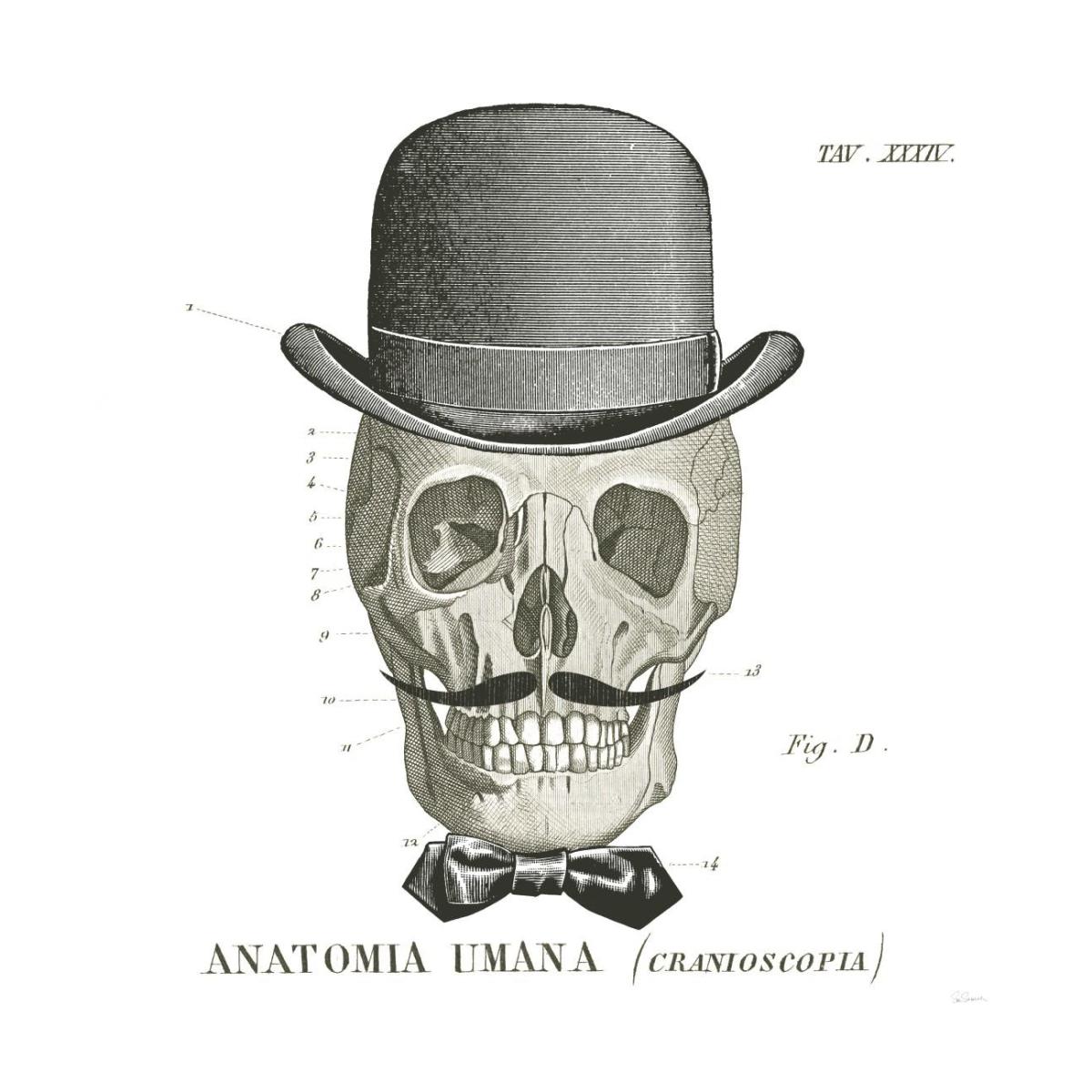 Dandy Bones IV -Paper Art-26"x26"