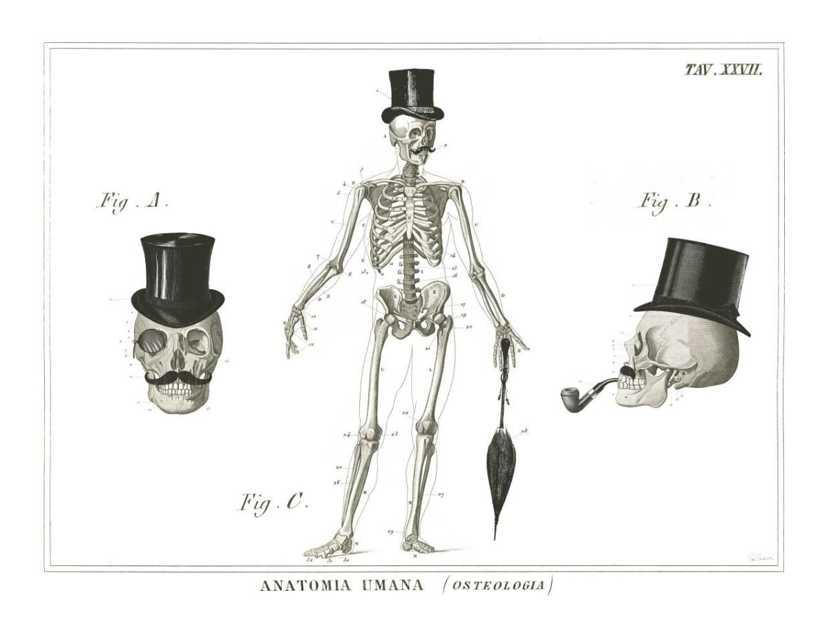 Dandy Bones -Paper Art-18"x14"