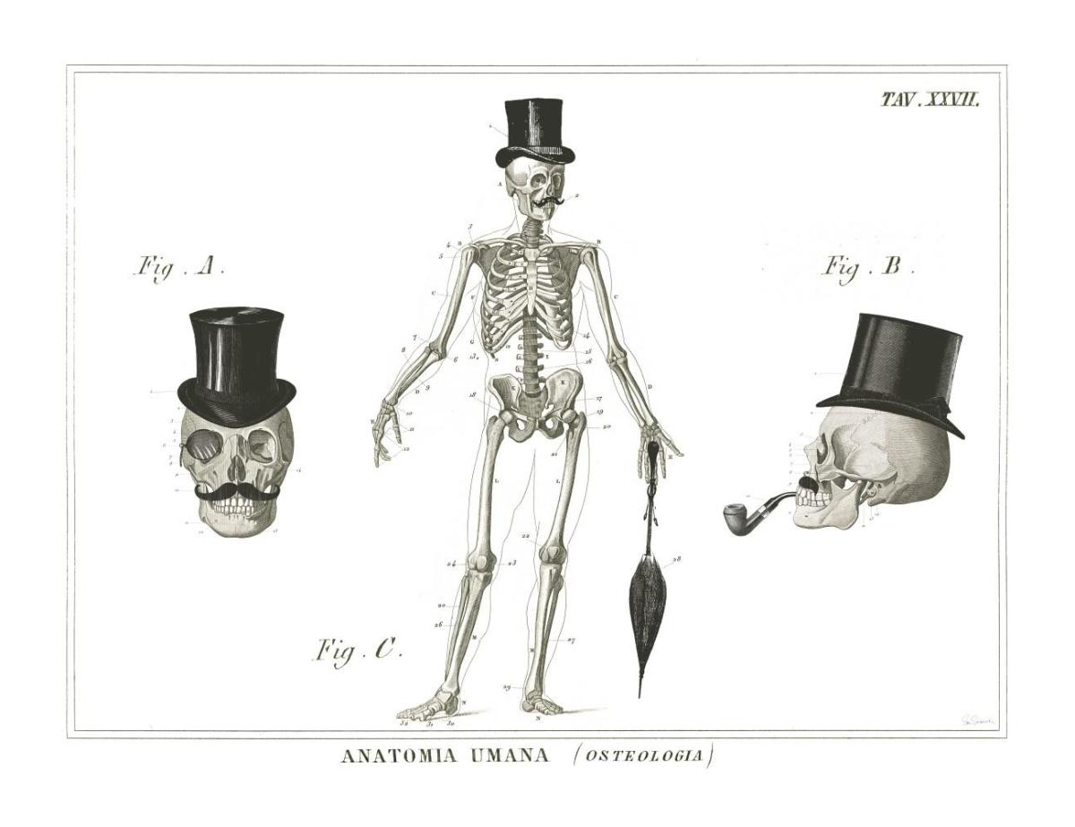 Dandy Bones -Paper Art-26"x20"